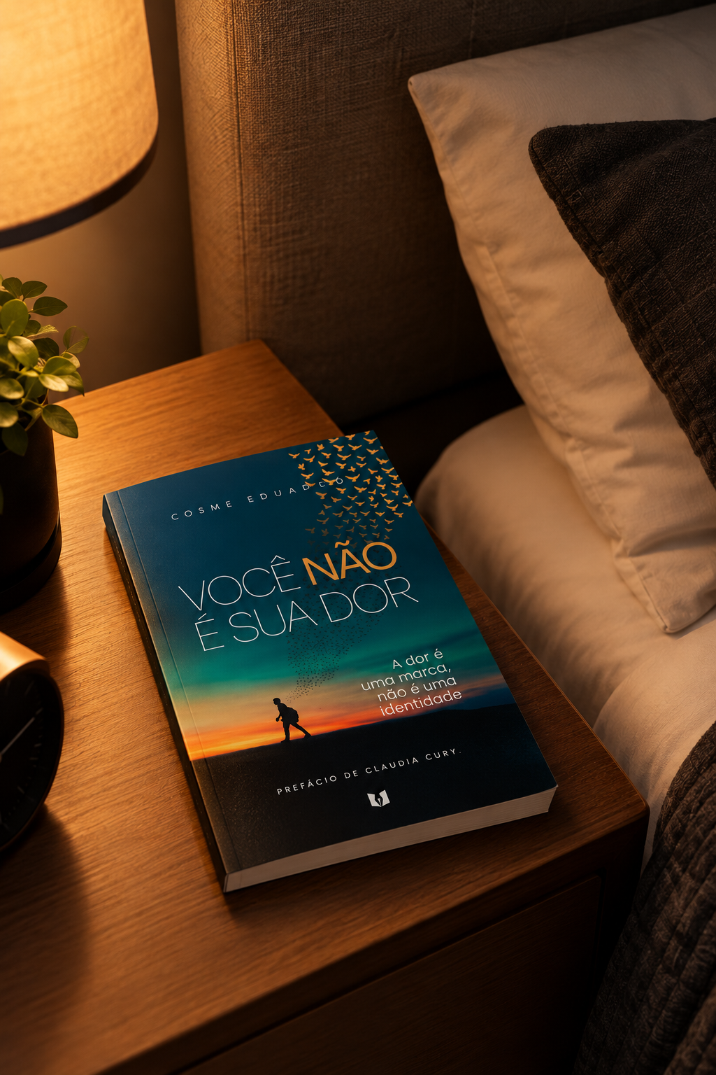 Você Não É Sua Dor